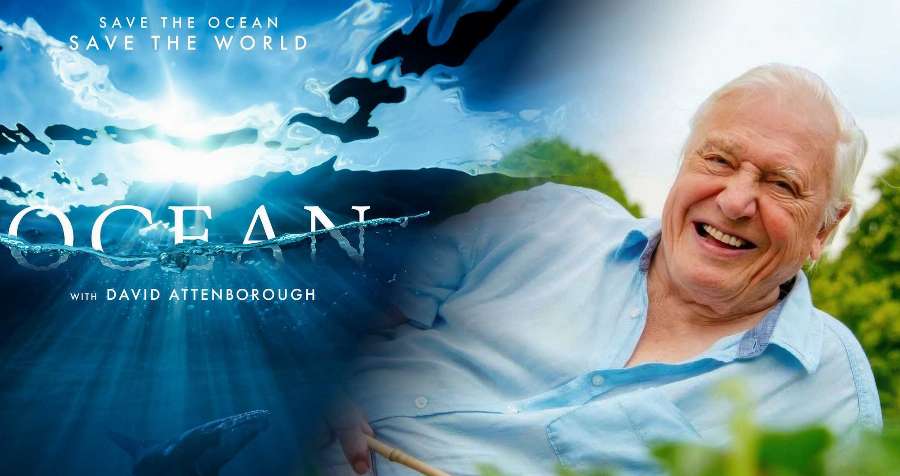 Avoca Beach Theatre - David Attenborough: Ocean