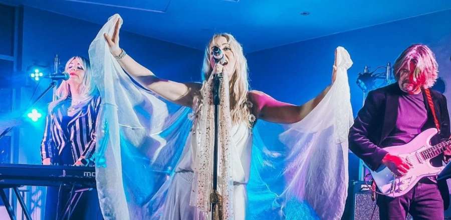 Laughing Bird Arts Association - Fleetwood Nicks