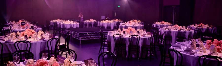 The Neilson Nutshell The Neilson Nutshell