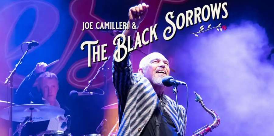 The Art House - The Black Sorrows The Art House - The Black Sorrows
