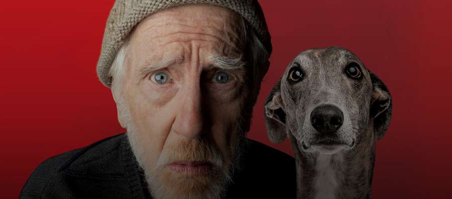 Ensemble Theatre - The Dapto Chaser